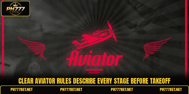 Clear Aviator rules describe every stage before takeoff Clear Aviator rules describe every stage before takeoff