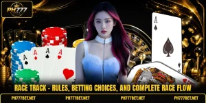 Race Track - Rules, Betting Choices, And Complete Race Flow